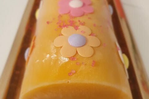 Cliquez pour zoomer ! Bûche glacée mangue et framboise Thermomix par Meëly