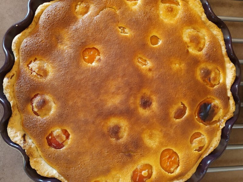 Cliquez pour zoomer ! Tarte amandine aux abricots Thermomix par annycouturier