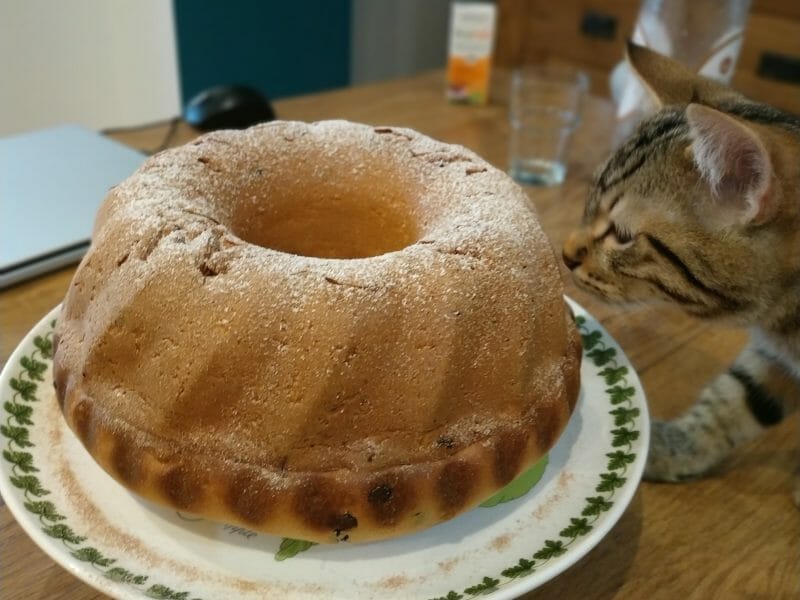 Cliquez pour zoomer ! Brioche express Thermomix par barcsika