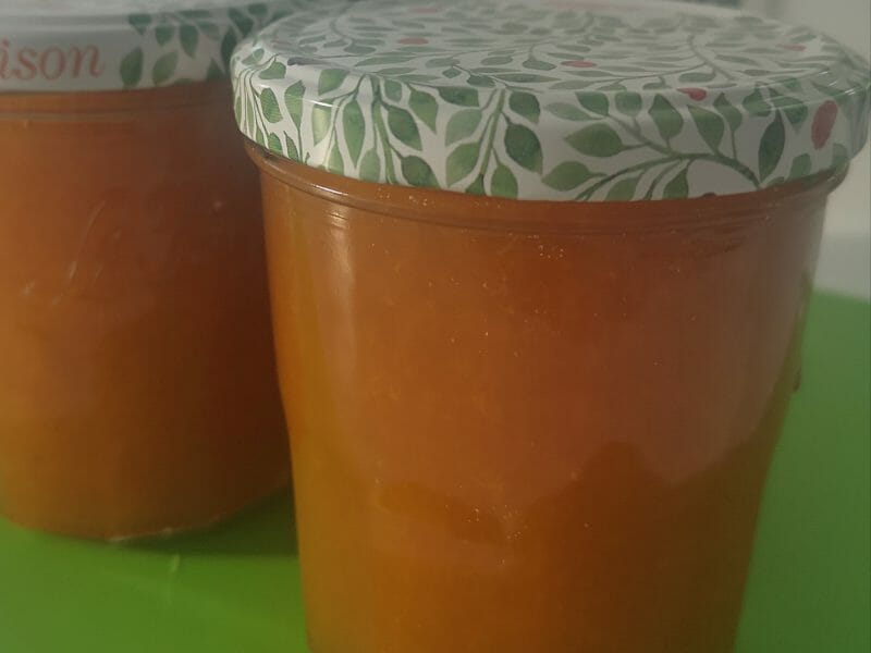 Confiture d'abricots au Thermomix Cookomix