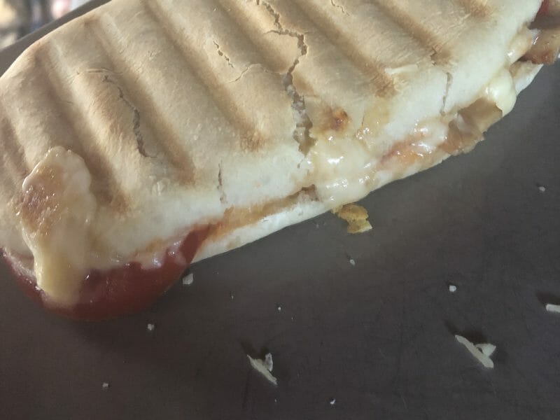 Cliquez pour zoomer ! Panini Thermomix par Justine