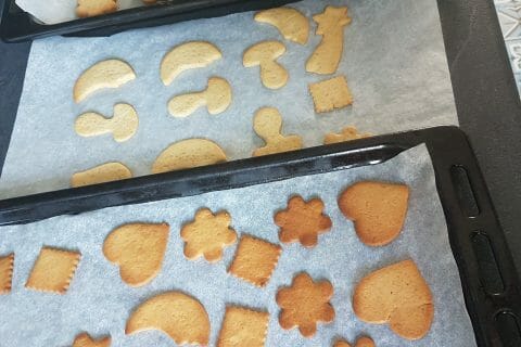 Cliquez pour zoomer ! Sablés au miel Thermomix par Mar-Mez