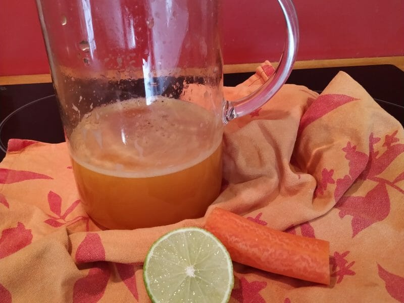 Cliquez pour zoomer ! Jus de fruits ACE Thermomix par ionion19