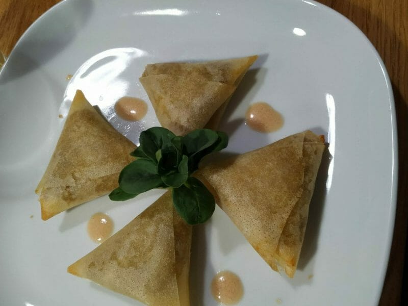 Cliquez pour zoomer ! Samoussa au boeuf Thermomix par ionion19