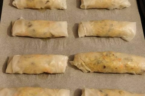 Cliquez pour zoomer ! Nems au poulet au Thermomix