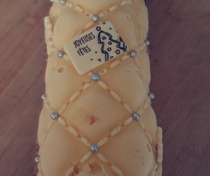 Cliquez pour zoomer ! Bûche glacée mangue et framboise Thermomix par nessange