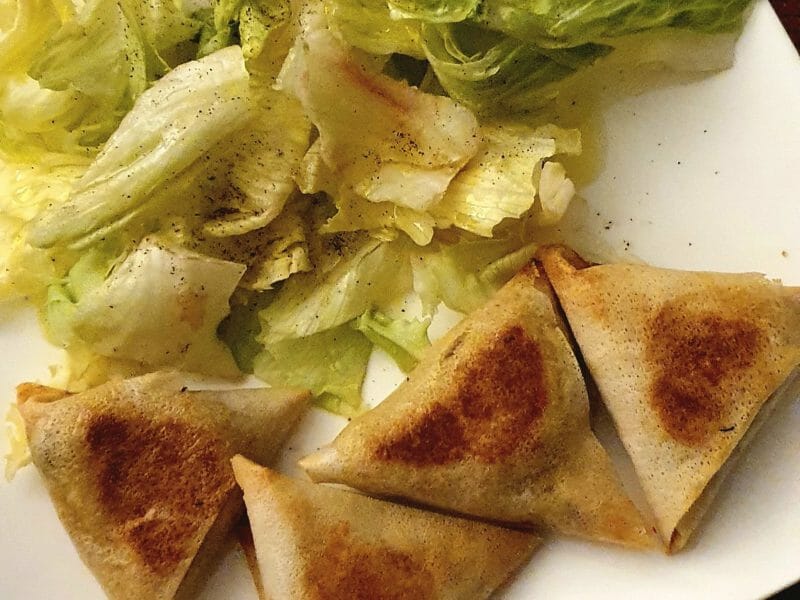 Cliquez pour zoomer ! Samoussas au poulet Thermomix par Cécile