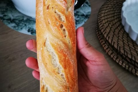 Cliquez pour zoomer ! IMG_20191015_153800