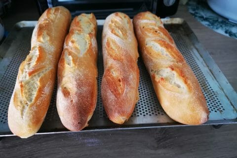 Cliquez pour zoomer ! IMG_20191015_153939