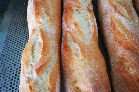 Cliquez pour zoomer ! IMG_20191015_153946