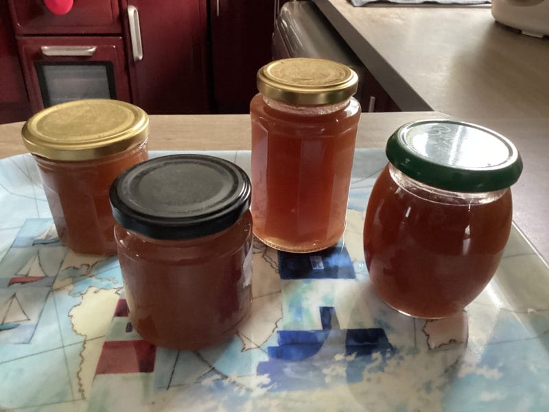 Cliquez pour zoomer ! Gelée de pommes Thermomix par gigi5444