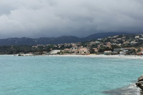 Cliquez pour zoomer ! Photo de Queen of Cheesecake 👑