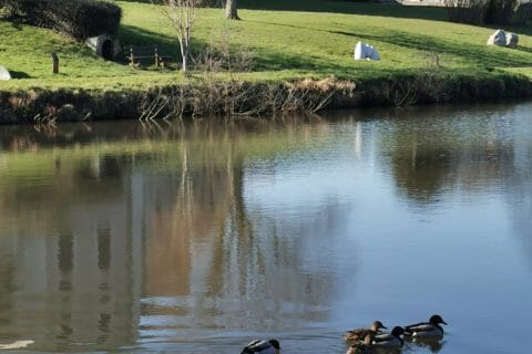 Cliquez pour zoomer ! Photo de Queen of Cheesecake 👑 Thermomix par Queen of Cheesecake 👑