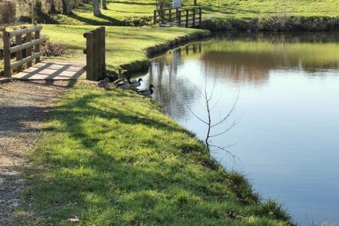 Cliquez pour zoomer ! Photo de Queen of Cheesecake 👑 Thermomix par Queen of Cheesecake 👑