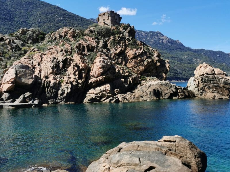 Cliquez pour zoomer ! Photo de Queen of Cheesecake 👑 Thermomix par Queen of Cheesecake 👑