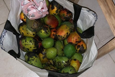 Cliquez pour zoomer ! Confiture de mangue Thermomix par Aurel meilleure