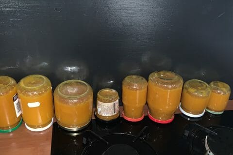 Cliquez pour zoomer ! Confiture de mangue Thermomix par Aurel meilleure