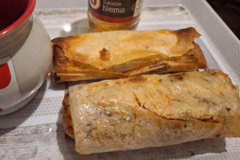 Cliquez pour zoomer ! Nems au poulet Thermomix par ledouxsophie