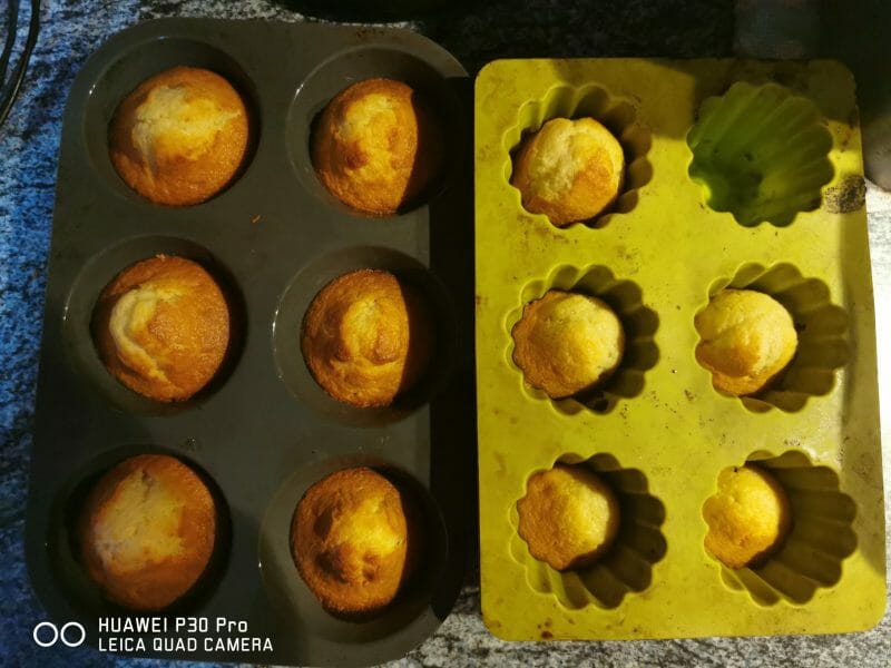 Cliquez pour zoomer ! Madeleines Thermomix par fjse