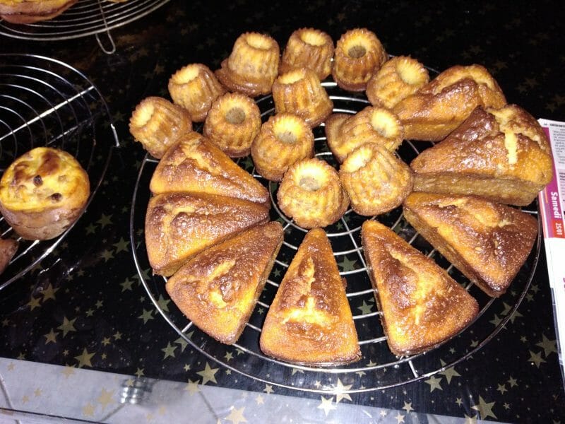 Cliquez pour zoomer ! Marbré au chocolat Thermomix par nany67