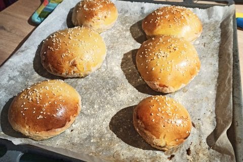 Cliquez pour zoomer ! Pains hamburger au Thermomix