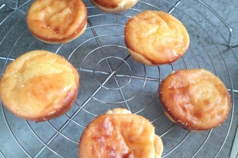 Cliquez pour zoomer ! Photo de Gilolo