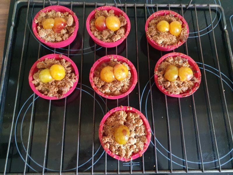 Cliquez pour zoomer ! Crumble aux mirabelles Thermomix par sandra95460