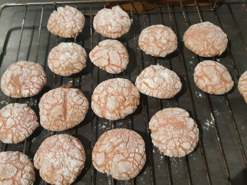 Cliquez pour zoomer ! Craquelés aux biscuits roses de Reims Thermomix par laeticelo
