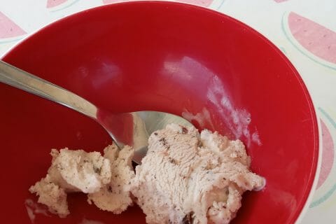 Cliquez pour zoomer ! Glace au yaourt au Thermomix