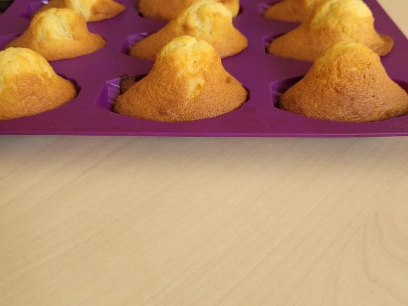 Cliquez pour zoomer ! Madeleines Thermomix par Gwenaëlle