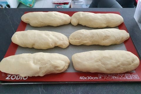 Cliquez pour zoomer ! Panini Thermomix par vaness33