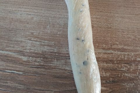 Cliquez pour zoomer ! DSC_1580