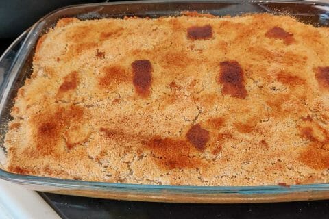 Cliquez pour zoomer ! Brandade de thon Thermomix par Benj P