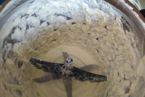 Cliquez pour zoomer ! Crème Chantilly Thermomix par lams17