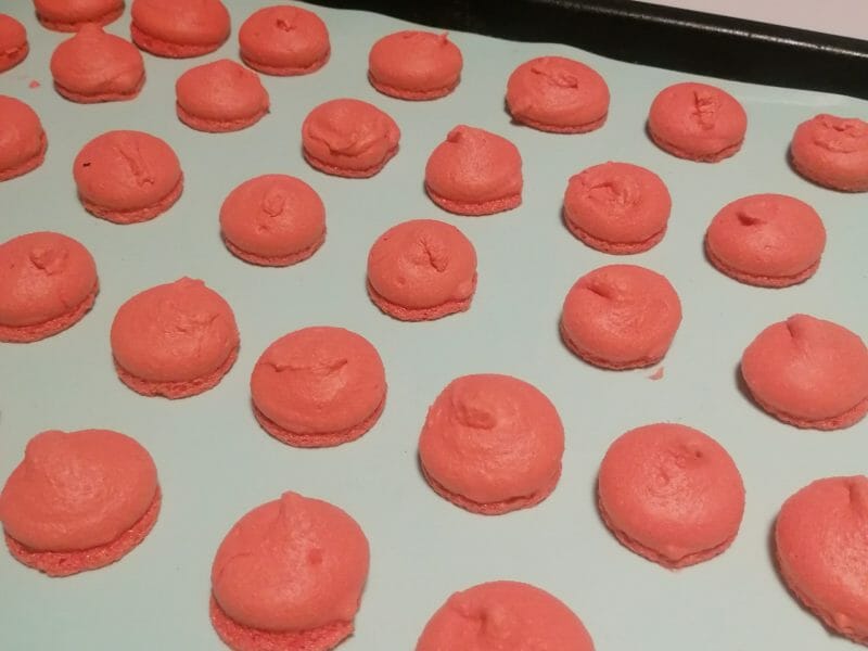 Cliquez pour zoomer ! Macarons salés au foie gras Thermomix par zounezoune