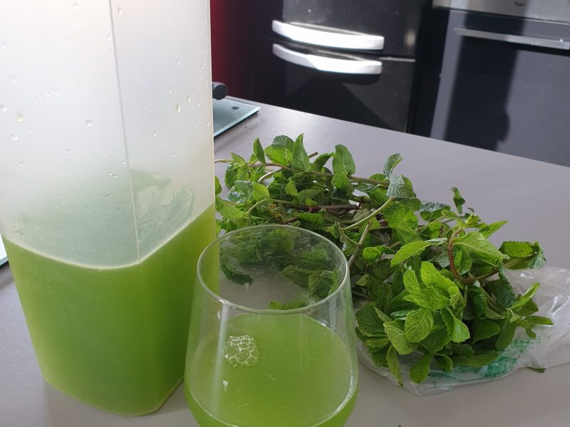 Cliquez pour zoomer ! Lemon mint Thermomix par babou45700