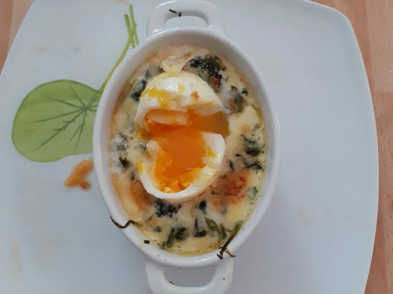 Cliquez pour zoomer ! Oeufs à la florentine Thermomix par nina490