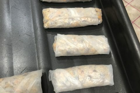 Cliquez pour zoomer ! Nems au poulet Thermomix par licornettte