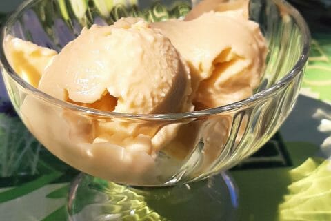 Cliquez pour zoomer ! Sorbet Piña Colada au Thermomix