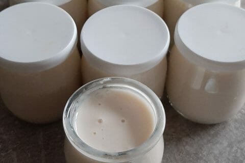 Cliquez pour zoomer ! Yaourt à boire – Yop au Thermomix