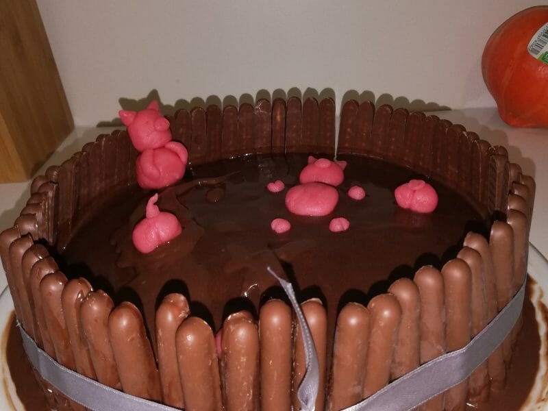 Cliquez pour zoomer ! La mare aux cochons Thermomix par sand78390
