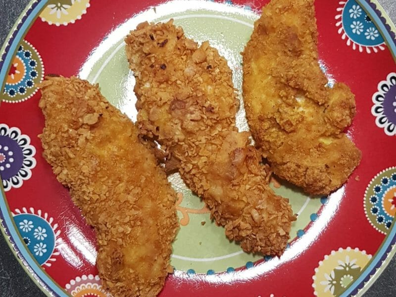 Cliquez pour zoomer ! Tenders de poulet Thermomix par Ternisien
