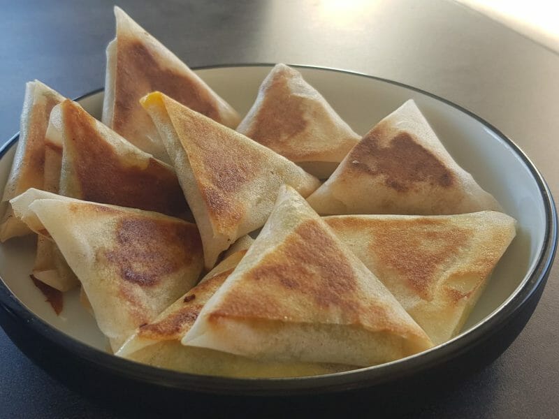 Cliquez pour zoomer ! Samoussa au boeuf Thermomix par Ternisien