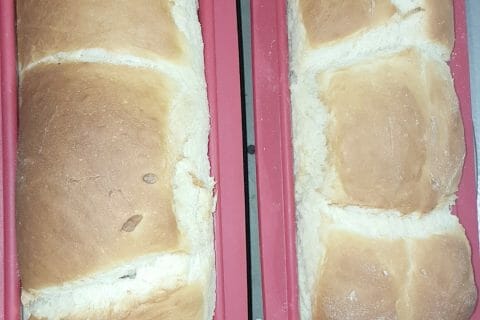 Cliquez pour zoomer ! Brioche Buchty Thermomix par opheliereb