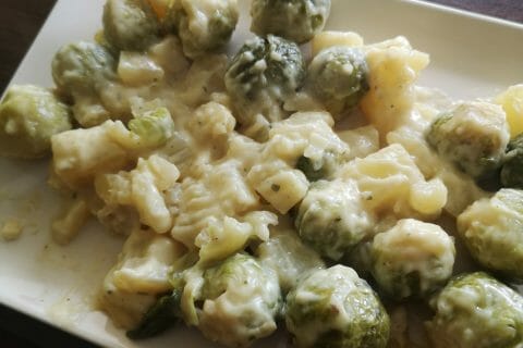 Photos des recettes