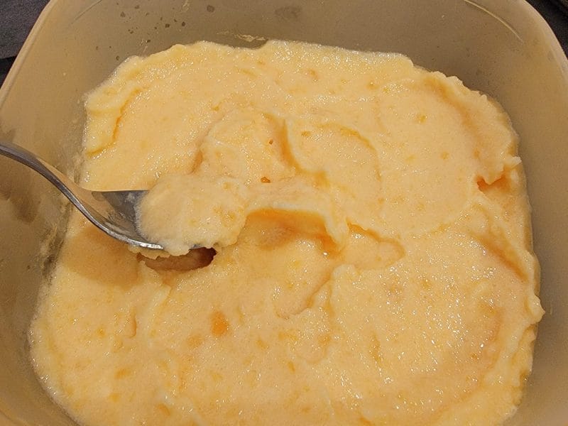 Cliquez pour zoomer ! Sorbet melon Thermomix par eleanor28