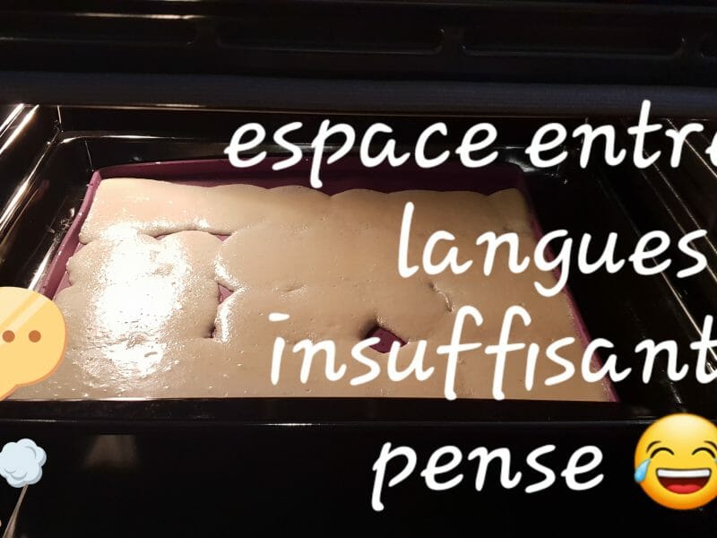 Cliquez pour zoomer ! Langues de chat Thermomix par eleanor28