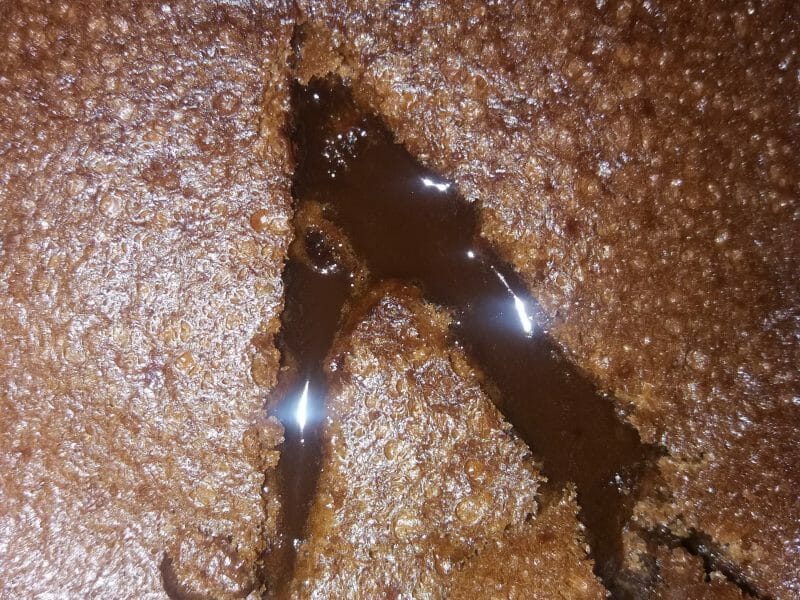 Cliquez pour zoomer ! Fondant Baulois Thermomix par ohoh