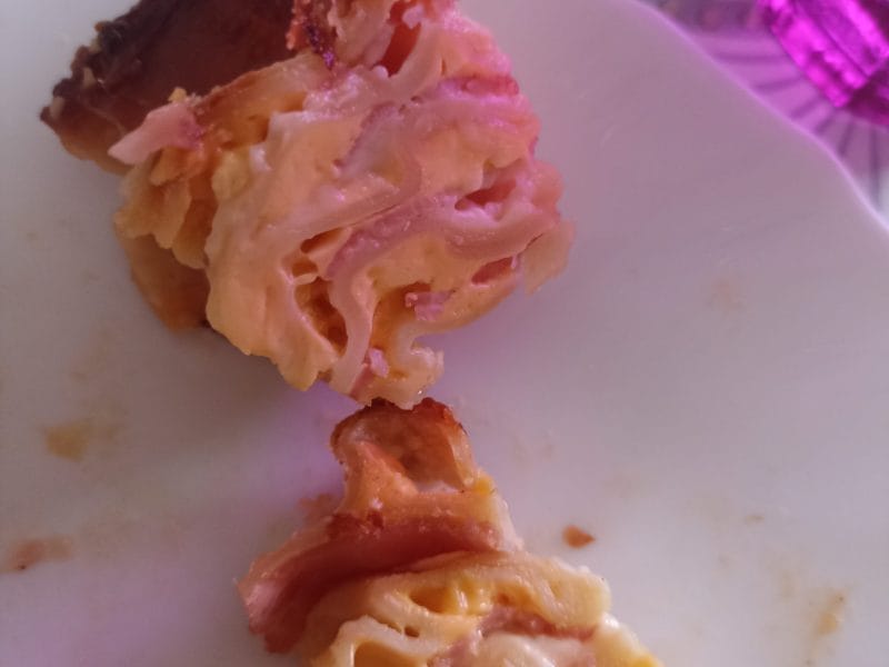 Cliquez pour zoomer ! Lasagnes jambon – fromage Thermomix par nadouille21