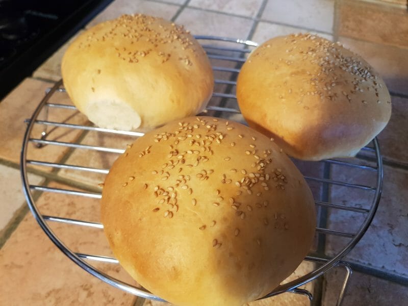 Cliquez pour zoomer ! Pains hamburger Thermomix par eliasweet